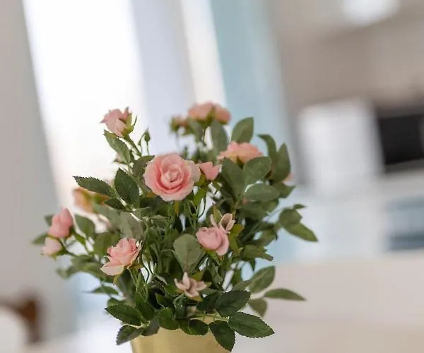 Lejlighed Admiral Luxury Vi By Bltn *